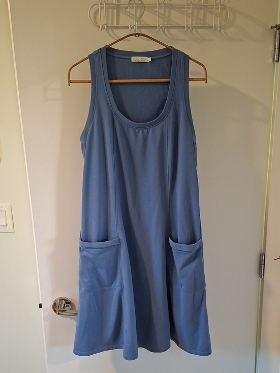 Echo Verde Dresses & Skirts - Echo Verde Cornflower Blue Eco French Terry Swing Dress w/ Pockets (Size L)